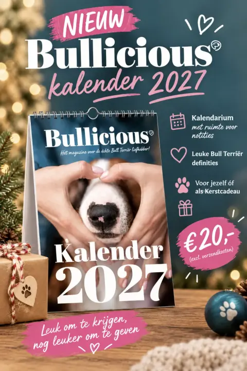 Bullicious magazine kalender 2027