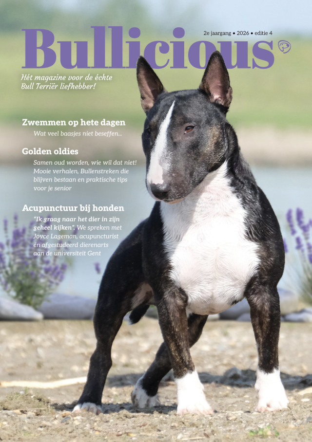 Scherm&shy;afbeelding 2026 07 02 om 12.38.14